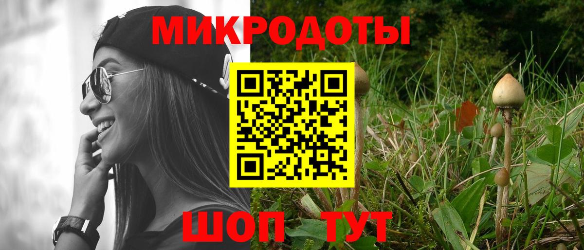Галлюциногенные грибы Psilocybe  купить наркоту  Вход с VPN  Новокуйбышевск  Псилоцибиновые грибы Magic Shrooms 